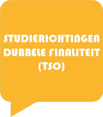 dubbele finaliteit (tso)