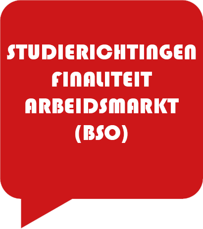 finaliteit arbeidsmarkt (bso)